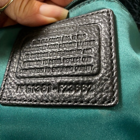 Coach Park - Picture 15 of 15